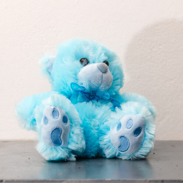 Baby Blue Teddy