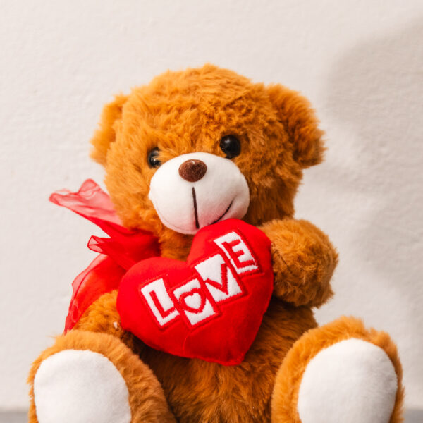 Teddy of My Heart