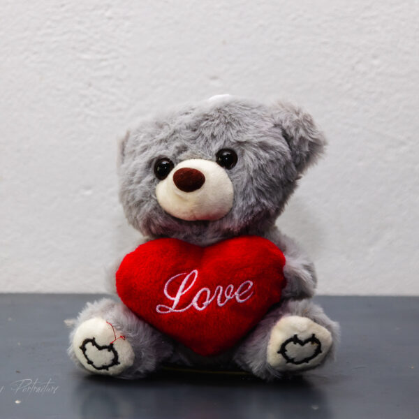 Grey Bear, Red Heart