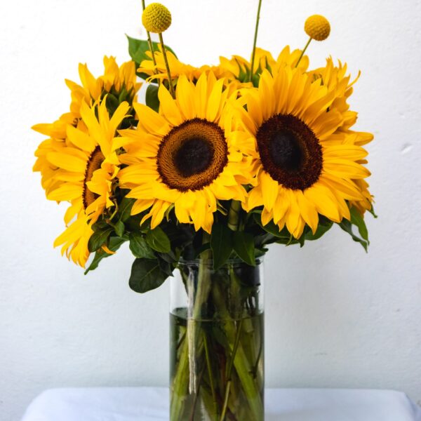 Sunshine Vase