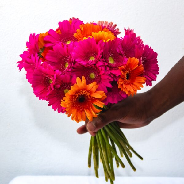 Vibrant Gerbera Mix