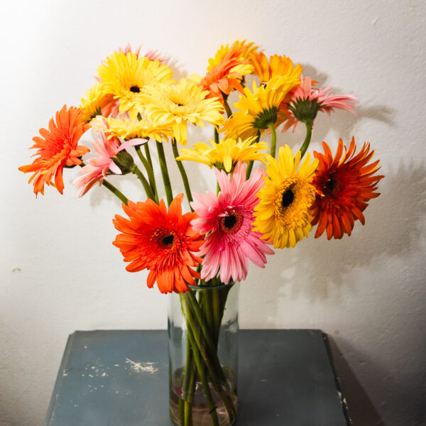 Gerbera Joy Vase